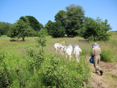 Warsztaty pszczelarskie 7-11.07.2021-warsztaty_pszczelarskie_2021_015.JPG