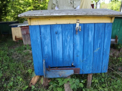 Warsztaty pszczelarskie 7-11.07.2021-warsztaty_pszczelarskie_2021_021.JPG