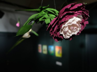 Wernisaż wystawy - BARWNIE - 11.07.2025-DSCF5556.jpg