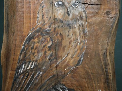 Wernisaż wystawy - "Z DALA OD SZAROŚCI" - 07.03.2025-DSCF5010.jpg